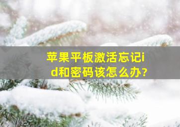 苹果平板激活忘记id和密码该怎么办?