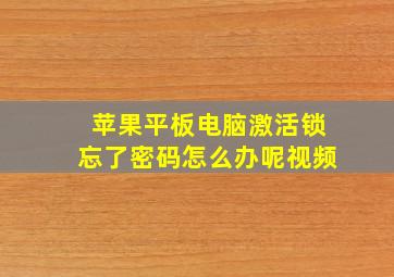 苹果平板电脑激活锁忘了密码怎么办呢视频