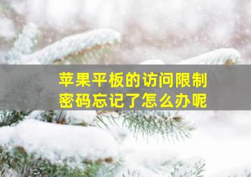 苹果平板的访问限制密码忘记了怎么办呢