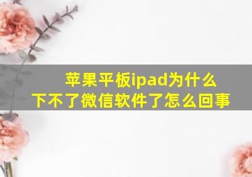 苹果平板ipad为什么下不了微信软件了怎么回事