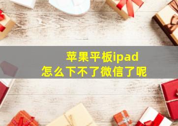 苹果平板ipad怎么下不了微信了呢