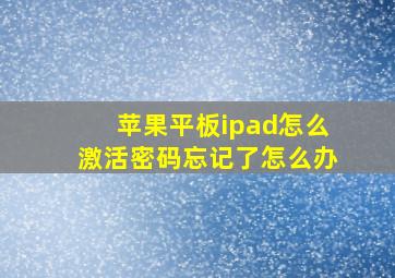 苹果平板ipad怎么激活密码忘记了怎么办