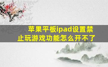 苹果平板ipad设置禁止玩游戏功能怎么开不了