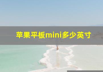 苹果平板mini多少英寸