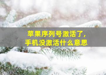 苹果序列号激活了,手机没激活什么意思