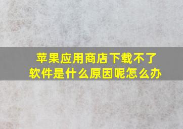 苹果应用商店下载不了软件是什么原因呢怎么办