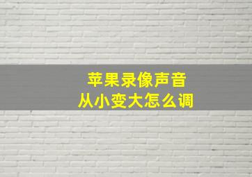 苹果录像声音从小变大怎么调