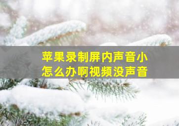 苹果录制屏内声音小怎么办啊视频没声音