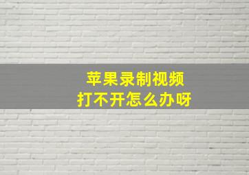 苹果录制视频打不开怎么办呀