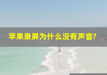 苹果录屏为什么没有声音?