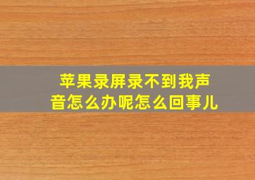 苹果录屏录不到我声音怎么办呢怎么回事儿