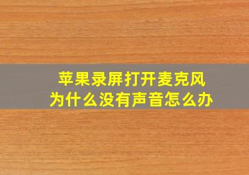 苹果录屏打开麦克风为什么没有声音怎么办