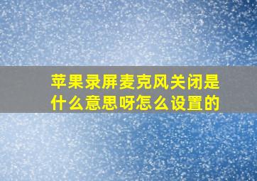 苹果录屏麦克风关闭是什么意思呀怎么设置的