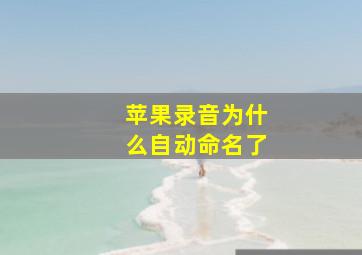 苹果录音为什么自动命名了