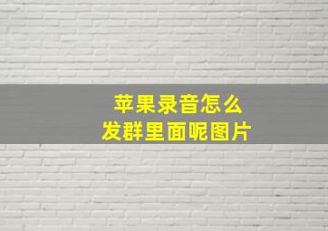 苹果录音怎么发群里面呢图片