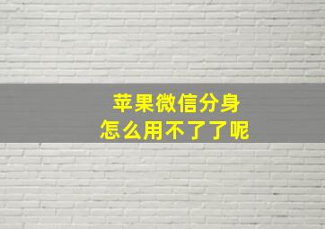 苹果微信分身怎么用不了了呢