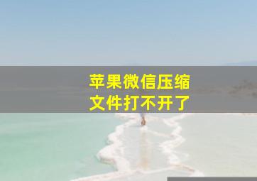 苹果微信压缩文件打不开了