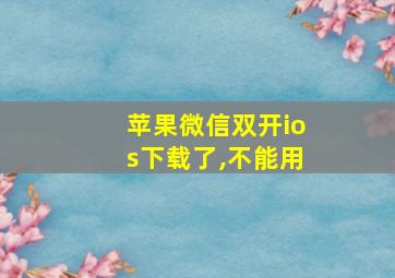 苹果微信双开ios下载了,不能用