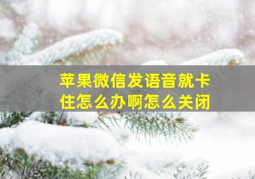 苹果微信发语音就卡住怎么办啊怎么关闭