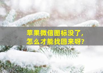 苹果微信图标没了,怎么才能找回来呀?