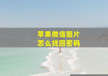 苹果微信图片怎么找回密码