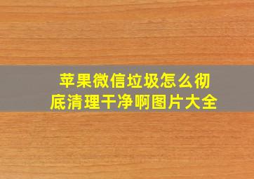 苹果微信垃圾怎么彻底清理干净啊图片大全