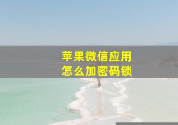 苹果微信应用怎么加密码锁