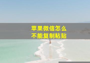 苹果微信怎么不能复制粘贴