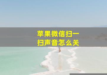 苹果微信扫一扫声音怎么关