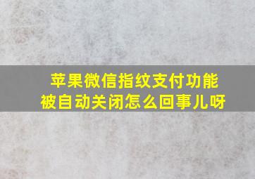 苹果微信指纹支付功能被自动关闭怎么回事儿呀