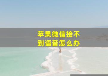 苹果微信接不到语音怎么办