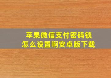 苹果微信支付密码锁怎么设置啊安卓版下载