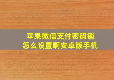 苹果微信支付密码锁怎么设置啊安卓版手机