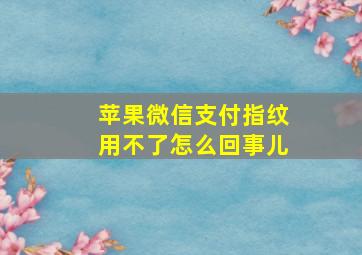 苹果微信支付指纹用不了怎么回事儿