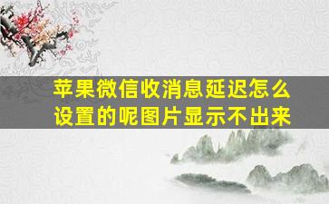 苹果微信收消息延迟怎么设置的呢图片显示不出来