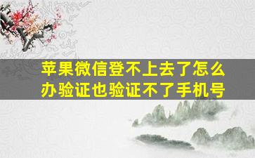 苹果微信登不上去了怎么办验证也验证不了手机号