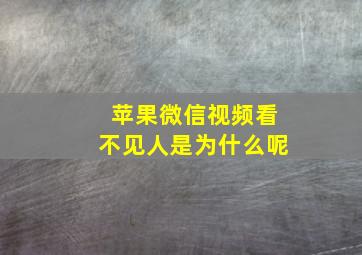 苹果微信视频看不见人是为什么呢