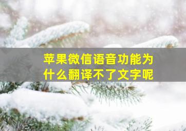 苹果微信语音功能为什么翻译不了文字呢