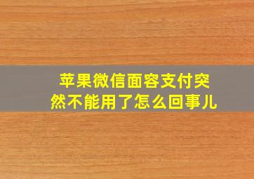 苹果微信面容支付突然不能用了怎么回事儿