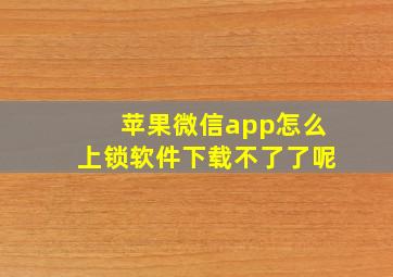 苹果微信app怎么上锁软件下载不了了呢