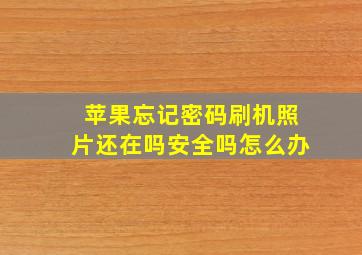 苹果忘记密码刷机照片还在吗安全吗怎么办