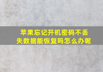 苹果忘记开机密码不丢失数据能恢复吗怎么办呢