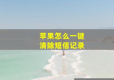 苹果怎么一键清除短信记录