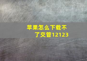 苹果怎么下载不了交管12123