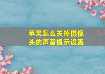 苹果怎么关掉摄像头的声音提示设置