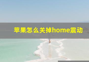 苹果怎么关掉home震动