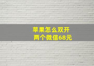 苹果怎么双开两个微信68元