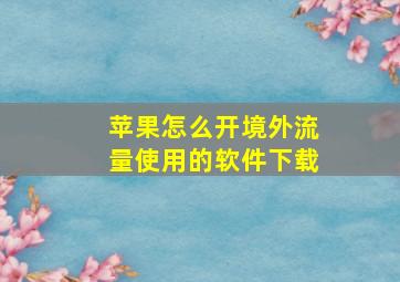 苹果怎么开境外流量使用的软件下载