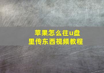 苹果怎么往u盘里传东西视频教程