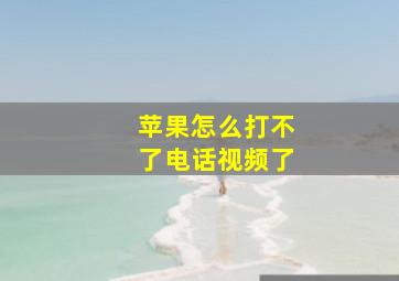 苹果怎么打不了电话视频了